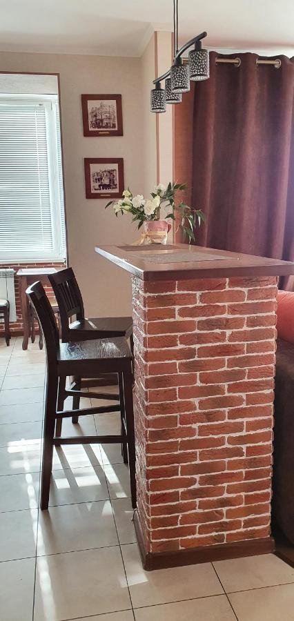 Academic Apartment Виниця Екстериор снимка